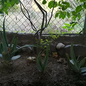 Casa La Terraza Vakantiehuis